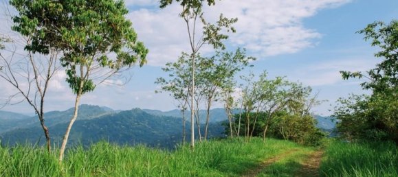 Grundstück in Savegre, Costa Rica, Nr. 2036 2
