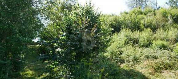 Grundstück in Regensburg, Germany 966m², Nr. 287556 4