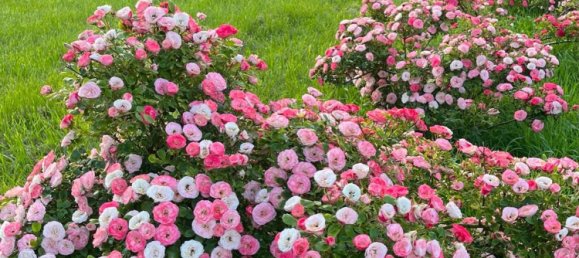 7 rooms House in Venice, Italy No. 130271 13