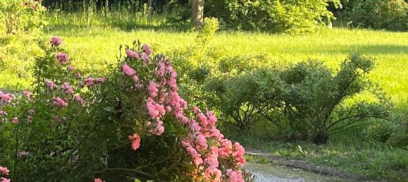 7 rooms House in Venice, Italy No. 130271 8