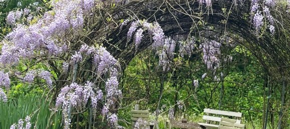 7 rooms House in Venice, Italy No. 130271 5