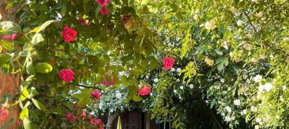 7 rooms House in Venice, Italy No. 130271 7