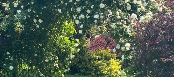 7 rooms House in Venice, Italy No. 130271 11