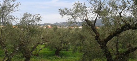 Grundstück in Zakynthos, Greece, Nr. 606 23