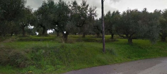 Grundstück in Zakynthos, Greece, Nr. 606 16
