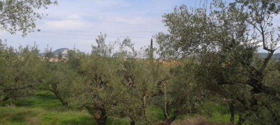 Grundstück in Zakynthos, Greece, Nr. 606 14