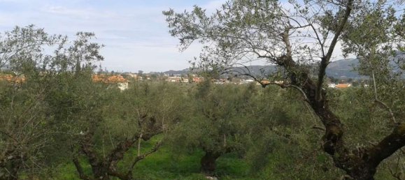 Grundstück in Zakynthos, Greece, Nr. 606 12