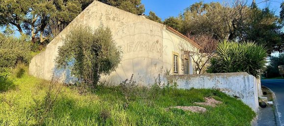 3 Schlafzimmer Haus in Rio Maior, Portugal, Nr. 25474 20