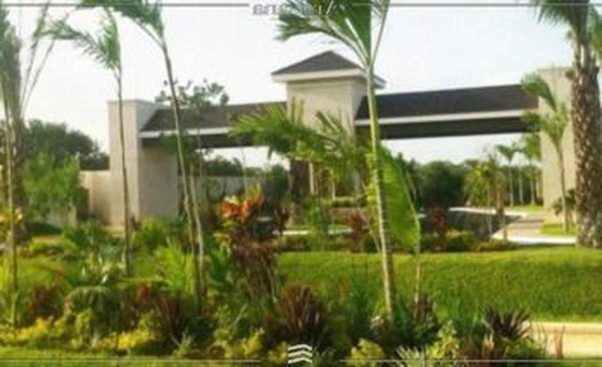 Grundstück in Merida, Mexico, Nr. 117726