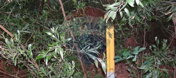 Grundstück in Silvalde, Portugal 1750m², Nr. 69563 5