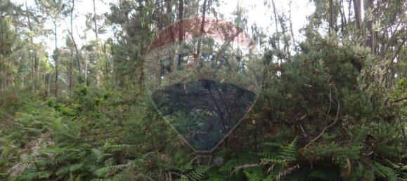 Grundstück in Silvalde, Portugal 1750m², Nr. 69563 4