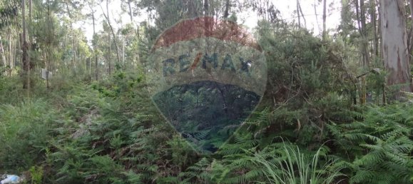 Grundstück in Silvalde, Portugal 1750m², Nr. 69563 3