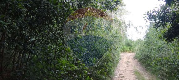 Grundstück in Silvalde, Portugal 1750m², Nr. 69563 2