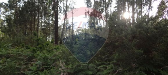 Grundstück in Silvalde, Portugal 1750m², Nr. 69563 6