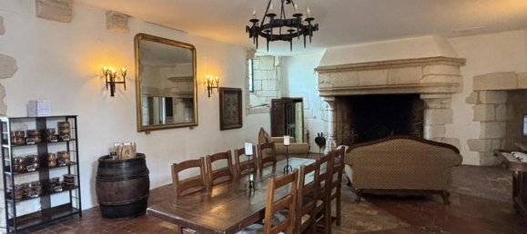 Замки и поместья с 31 спальней в Ле Пон-Кретьен-Шабене, Франция № 219465 25