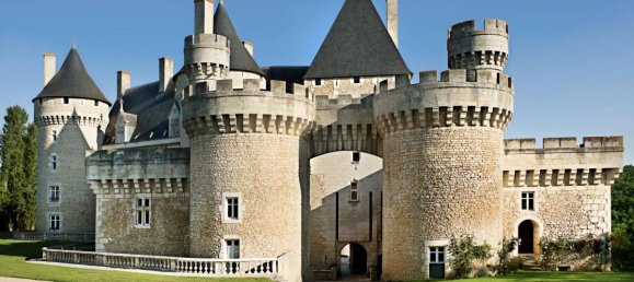 Замки и поместья с 31 спальней в Ле Пон-Кретьен-Шабене, Франция № 219465 2