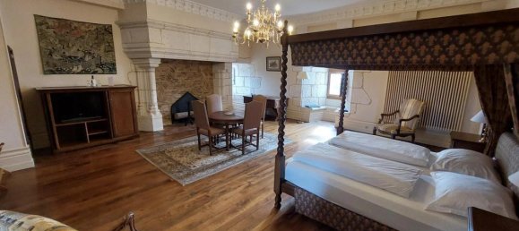 Замки и поместья с 31 спальней в Ле Пон-Кретьен-Шабене, Франция № 219465 11