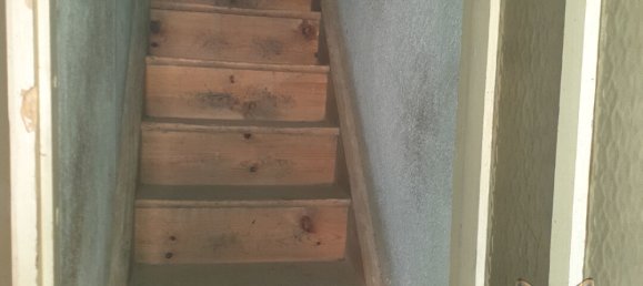 Дом с 3 спальнями в Бельвю-ла-Монтань, Франция № 48211 3