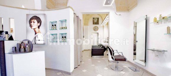 1-Zimmer Gewerbliche Immobilie in Francavilla Fontana, Italy, Nr. 213043 5