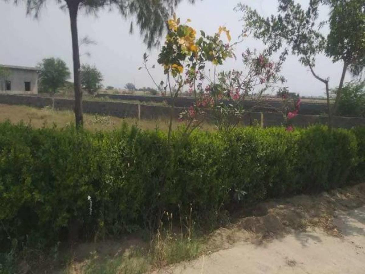 Grundstück in Noida, India, Nr. 65717