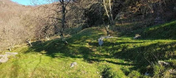 7 rooms House in Camaiore, Italy No. 208573 12