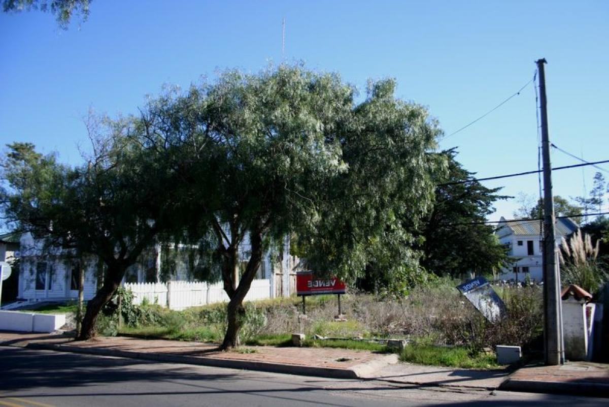 Terreno em Maldonado, Uruguay N.º 15348