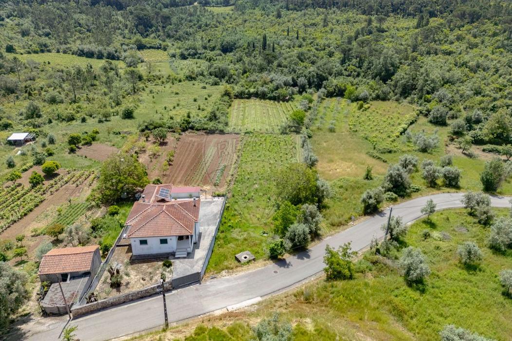 Terrain à Condeixa a Nova, Portugal No. 200774