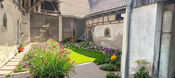 1 bedroom Building in Westhoffen, France No. 50334 11
