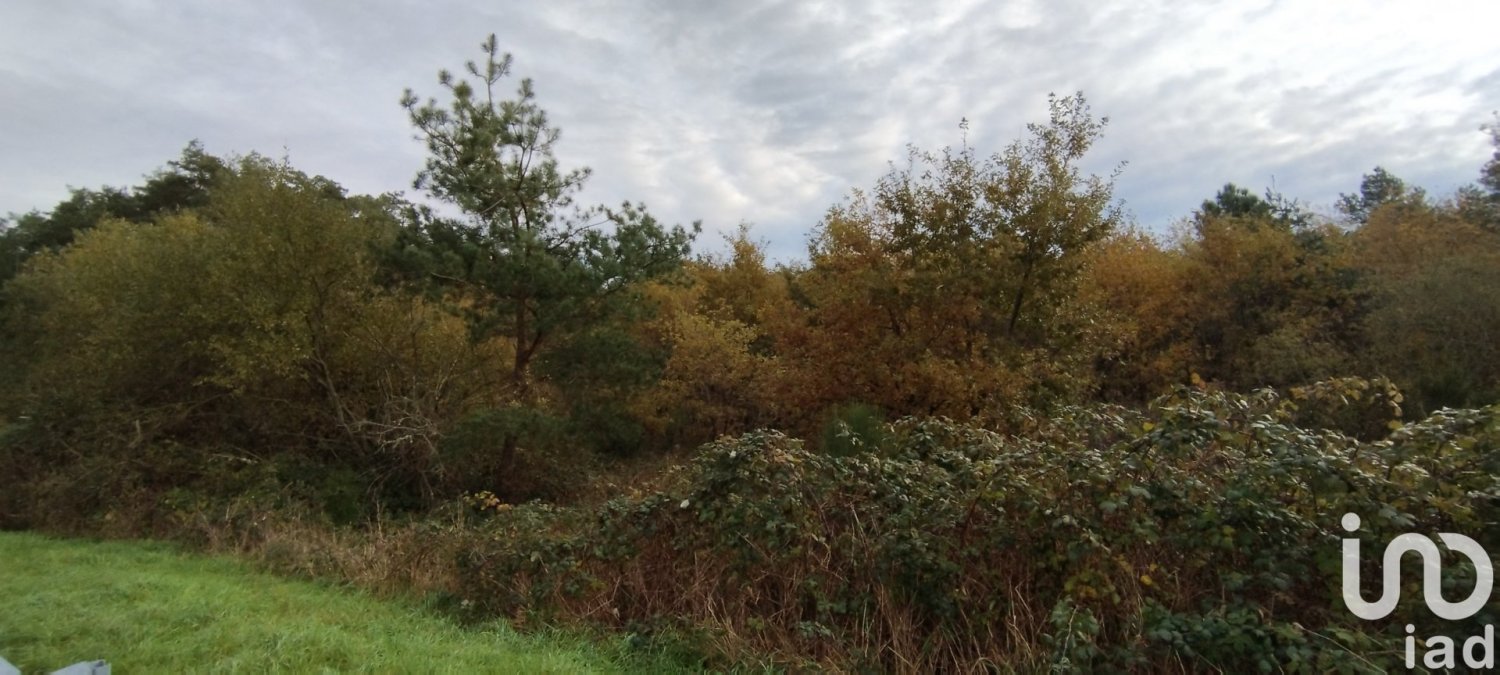  Land in Villefranche-sur-Cher, France No. 157900