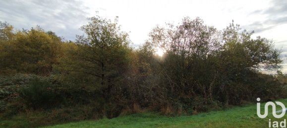  Land in Villefranche-sur-Cher, France No. 157900 3