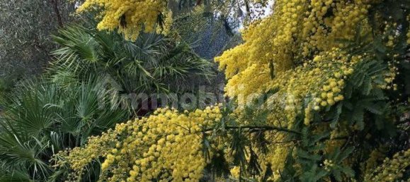 2 bedrooms Villa in Monreale, Italy No. 321079 10