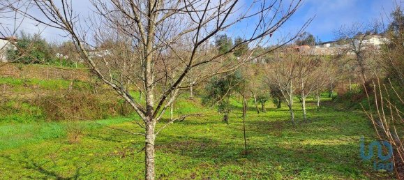 6 غرف نوم منزل في Castelo de Paiva, Portugal رقم 171392 26