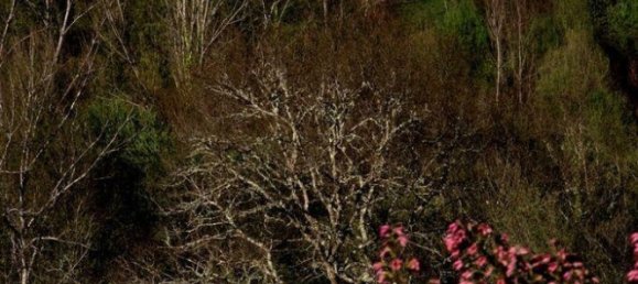 6 غرف نوم منزل في Castelo de Paiva, Portugal رقم 171392 29