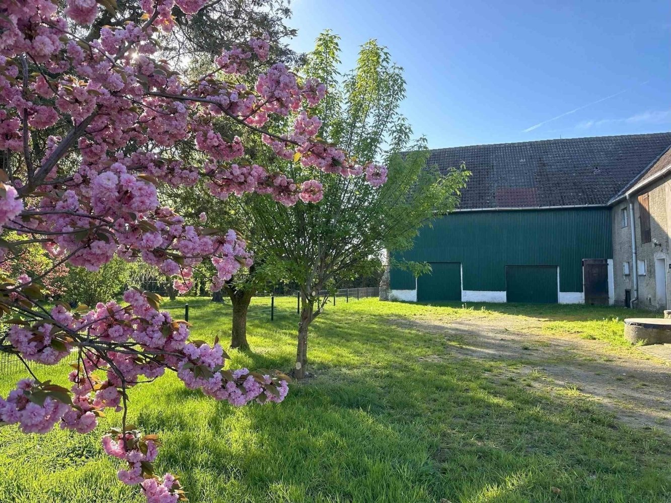 5 rooms Land in Leipzig, Germany No. 54860