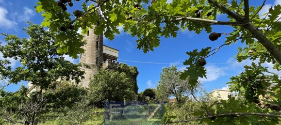 8 bedrooms House in Vila Nova de Gaia, Portugal No. 50990 31