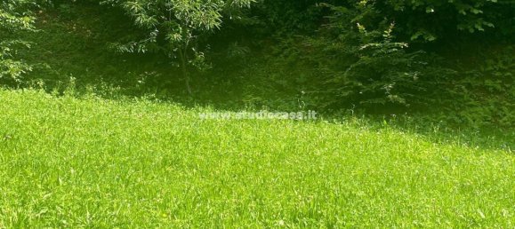 3-Zimmer Haus in Piazzolo, Italy, Nr. 235861 8