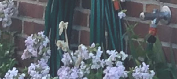 3غرفة تاون هاوس في Helmstedt, Germany رقم 171199 2