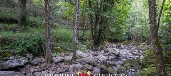 1 bedroom House in Ortignano Raggiolo, Italy No. 216446 20