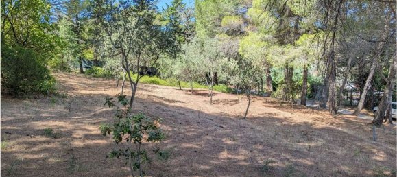 Grundstück in Piombino, Italy 3000m², Nr. 49082 15