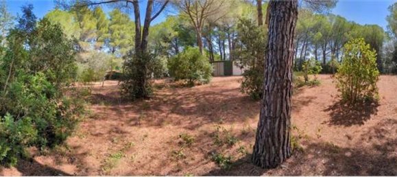 Grundstück in Piombino, Italy 3000m², Nr. 49082 14