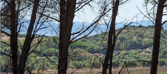 Grundstück in Piombino, Italy 3000m², Nr. 49082 4