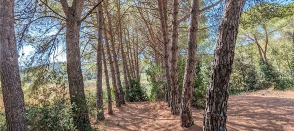 Grundstück in Piombino, Italy 3000m², Nr. 49082 7