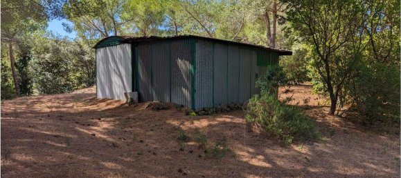 Grundstück in Piombino, Italy 3000m², Nr. 49082 10