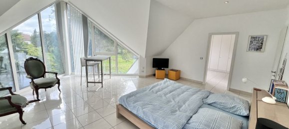 6 bedrooms House in Hegenheim, France No. 246497 10