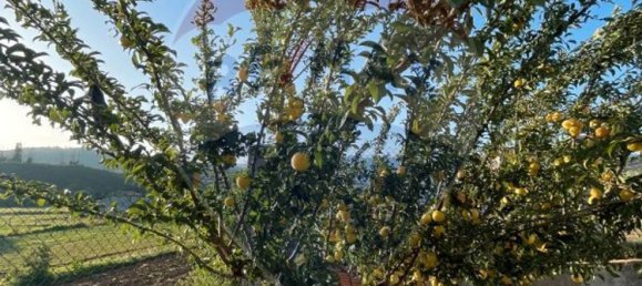 Дом с 4 спальнями в Паул, Португалия № 160749 25