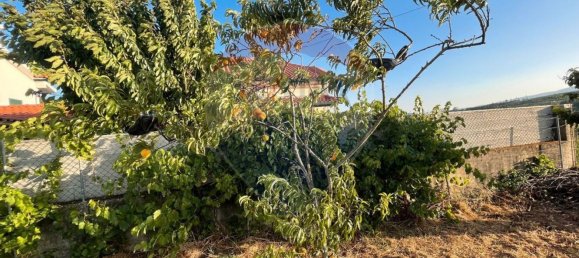 Дом с 4 спальнями в Паул, Португалия № 160749 24