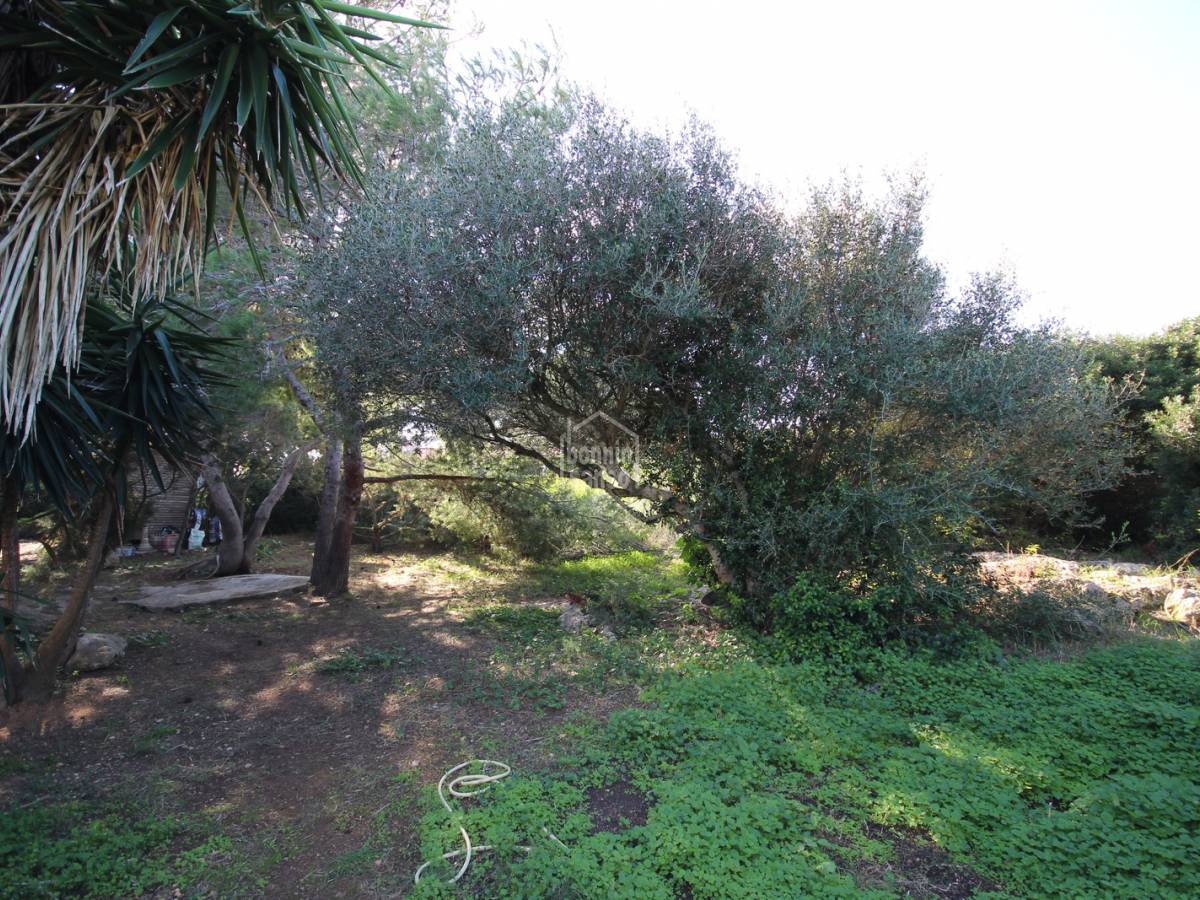  Land in Ciutadella De Menorca, Spain No. 12538