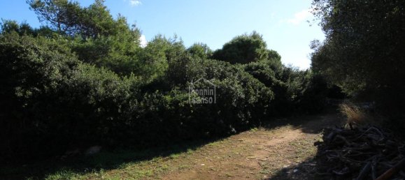  Land in Ciutadella De Menorca, Spain No. 12538 2