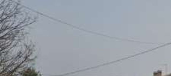 88556m² Land in Medesano, Italy No. 298851 3