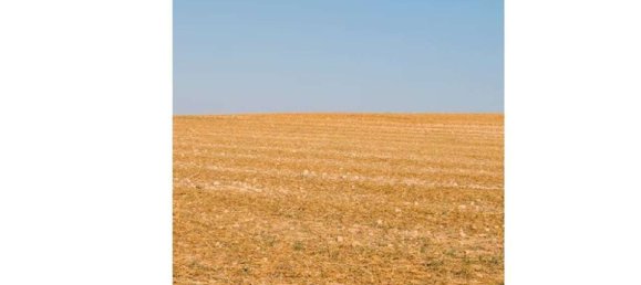 88556m² Land in Medesano, Italy No. 298851 11